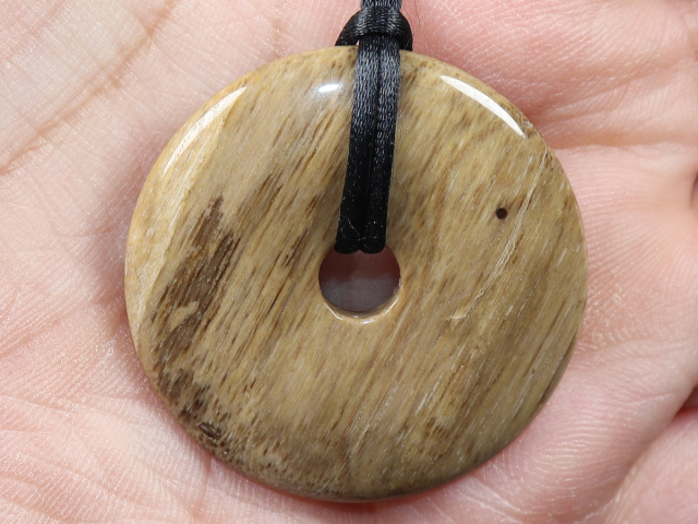 versteinertes Holz mit Band