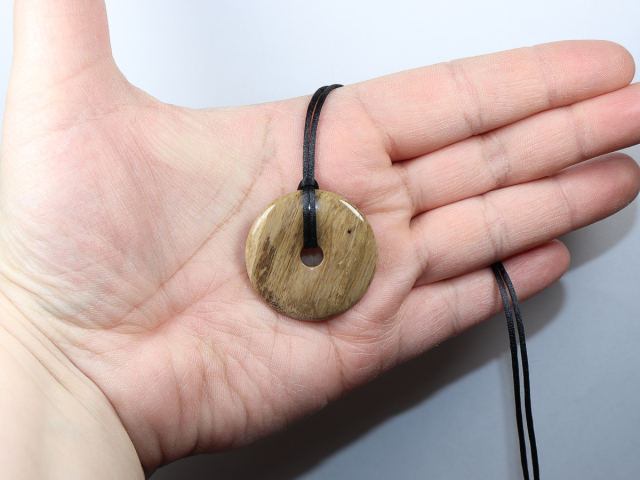 versteinertes Holz mit Band