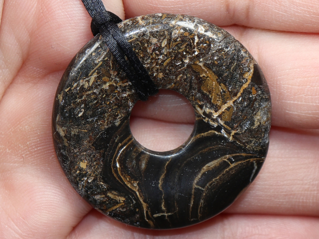 stromatolite with cord