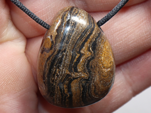 Stromatolith mit Band oder Silber 925