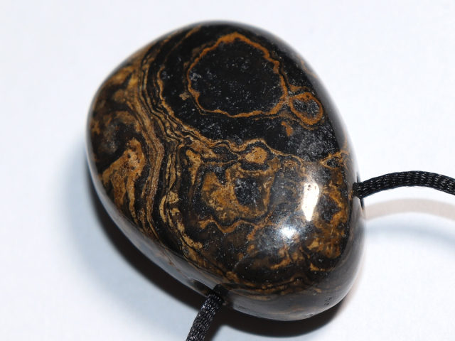 Stromatolith mit Band oder Silber 925
