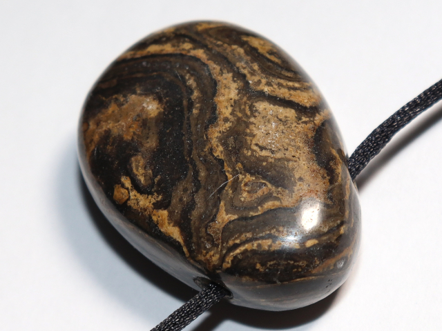 Stromatolith mit Band oder Silber 925