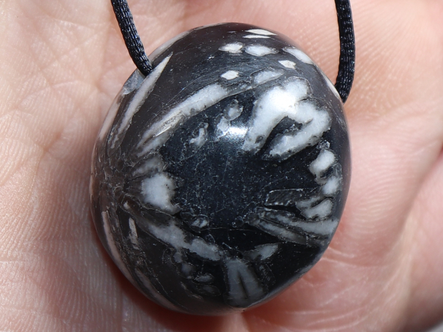 chrysanthemum stone with cord or silver 925