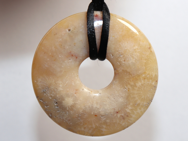 Preview: versteinerte Koralle mit Band