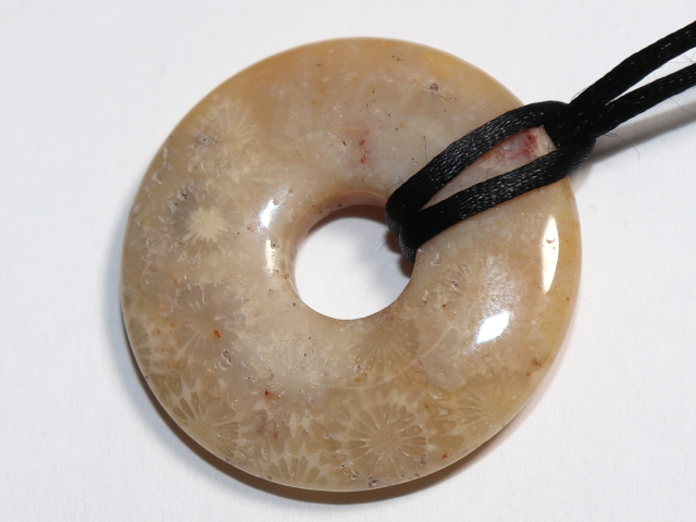 versteinerte Koralle mit Band