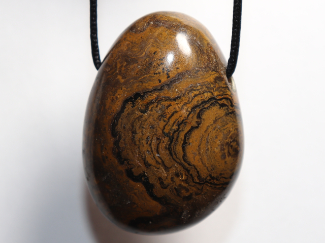 Stromatolith mit Band oder Silber 925