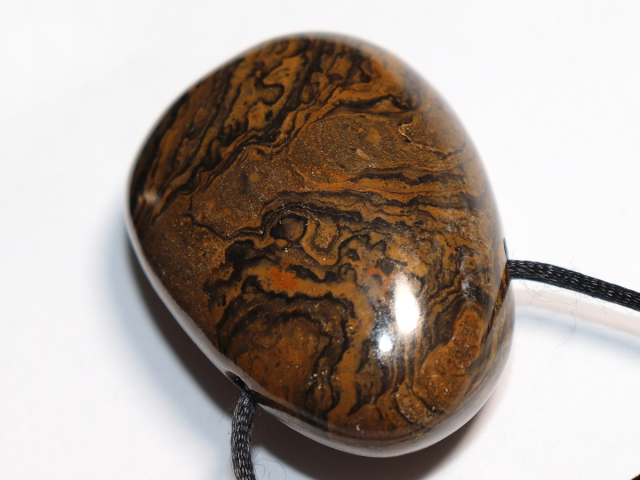 Stromatolith mit Band oder Silber 925