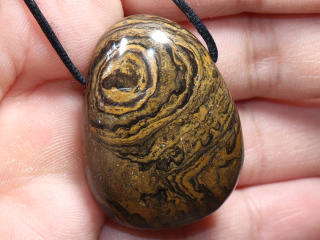 Stromatolith mit Band oder Silber 925