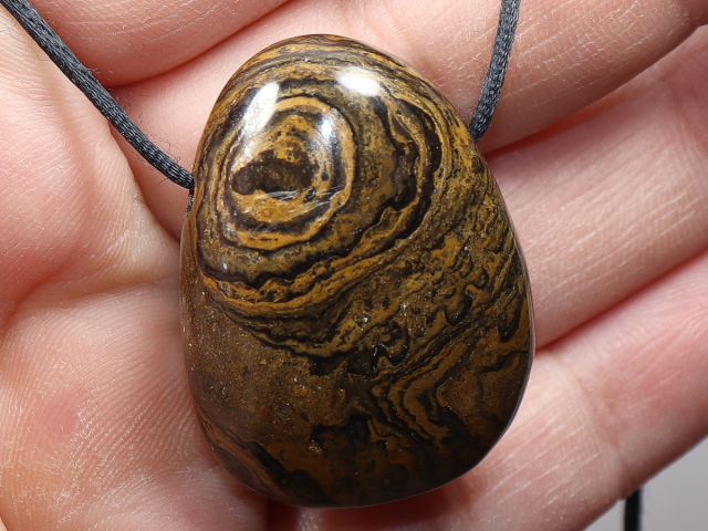 Stromatolith mit Band oder Silber 925
