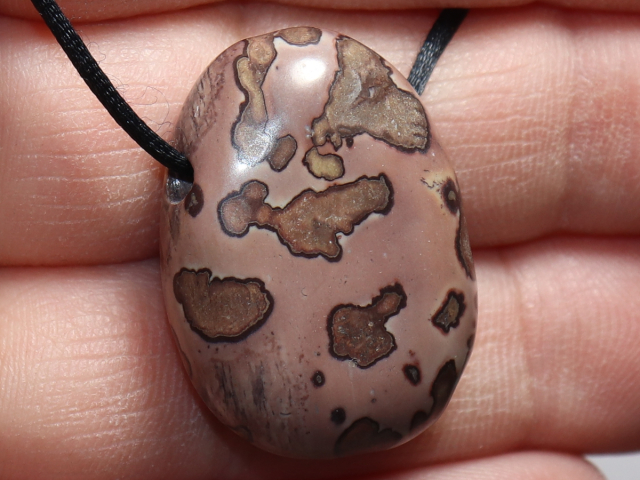 porcellanite with cord or silver 925