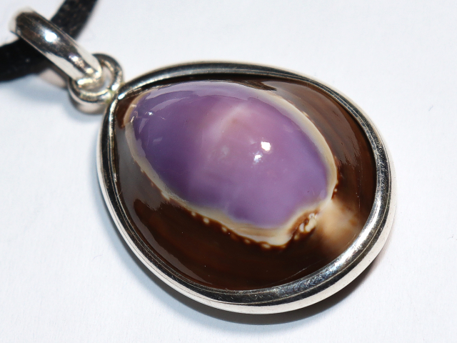 Preview: Muschel mit Band oder Silber 925