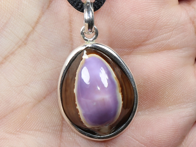 Muschel mit Band oder Silber 925