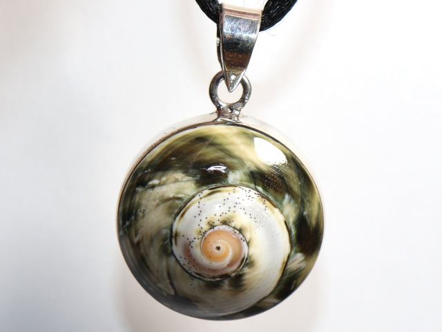 Preview: Muschel mit Band oder Silber 925