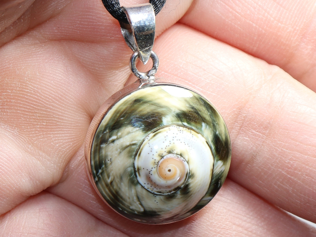 Muschel mit Band oder Silber 925