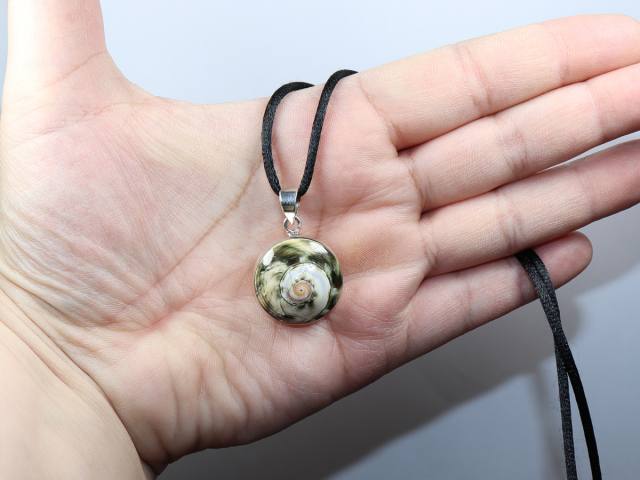 Muschel mit Band oder Silber 925