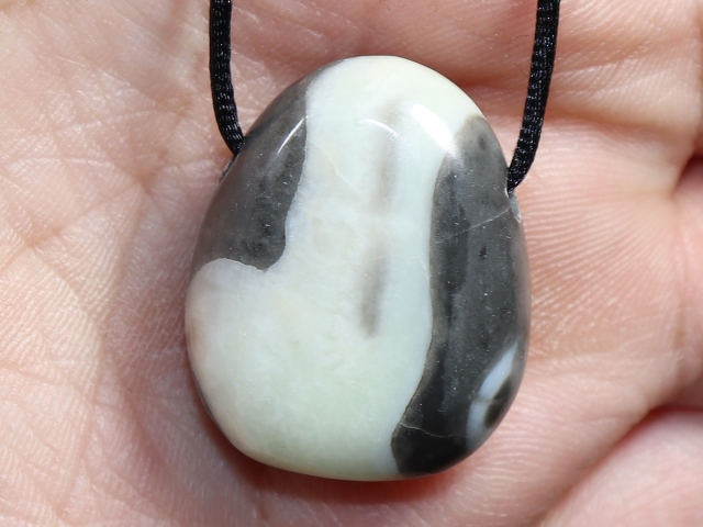 shell jasper with cord or silver 925