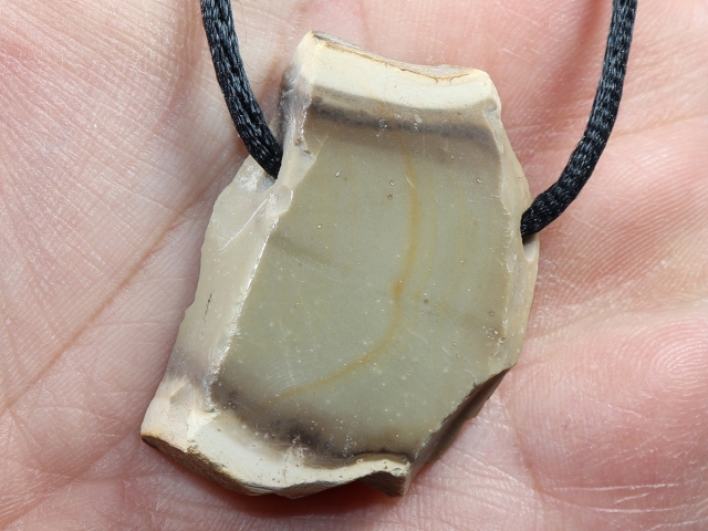 petrified wood with cord or silver 925