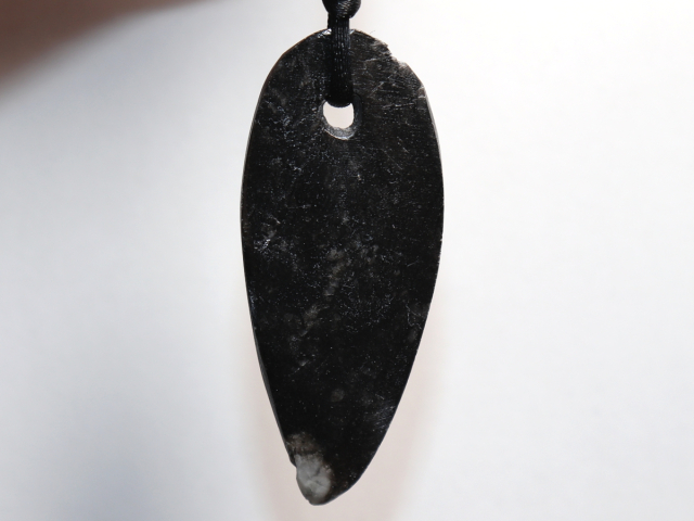 Preview: Orthoceras mit Band