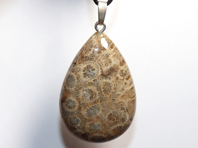 fossilized coral with cord or silver 925