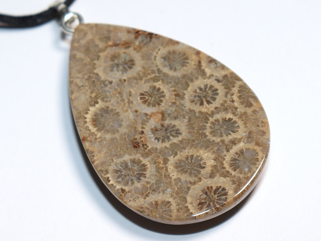 fossilized coral with cord or silver 925