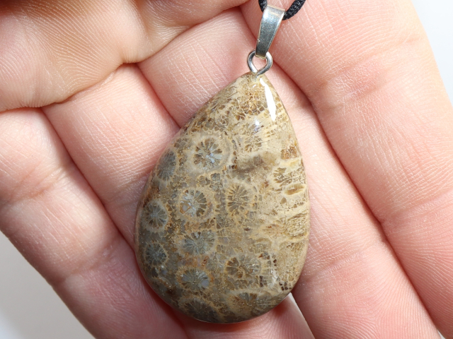 fossilized coral with cord or silver 925