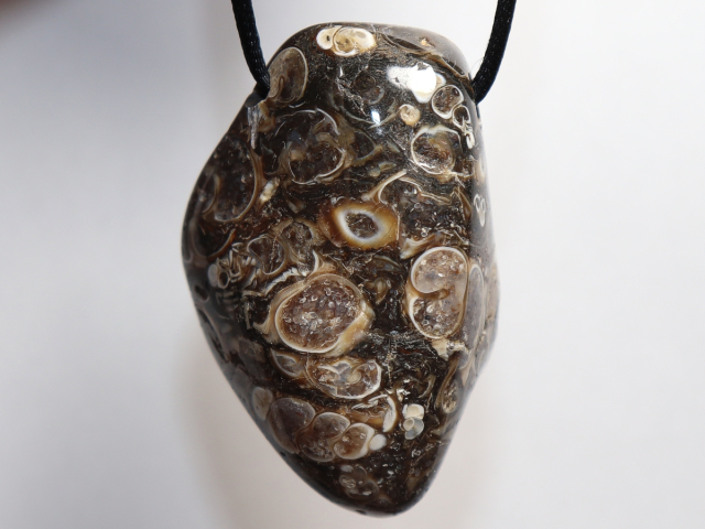 Turritella agate with cord or silver 925