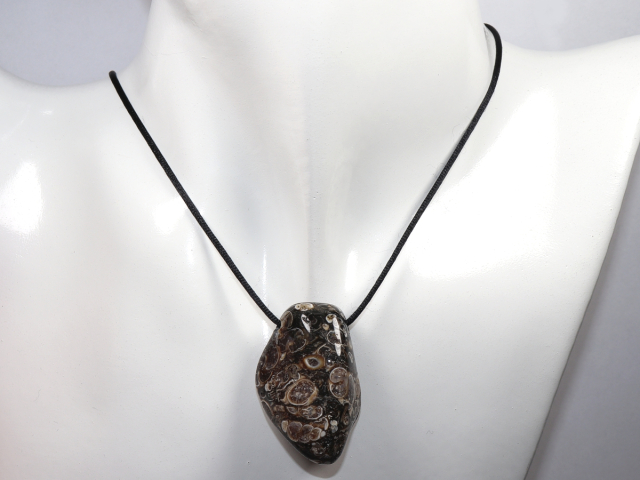 Preview: Turritella agate with cord or silver 925