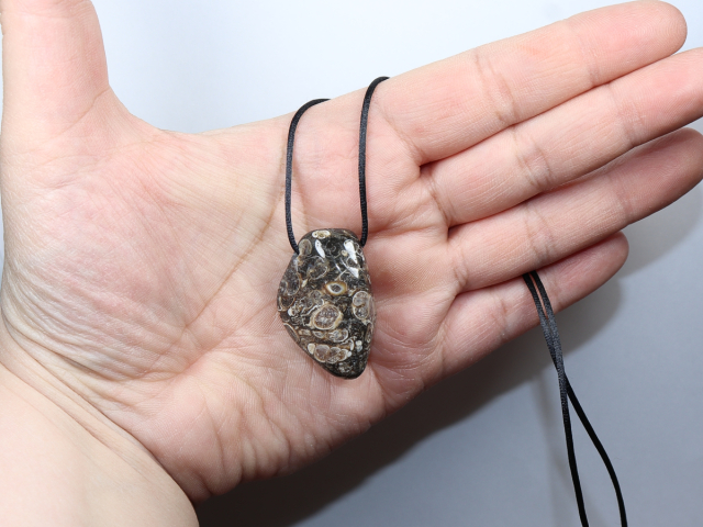 Turritella agate with cord or silver 925