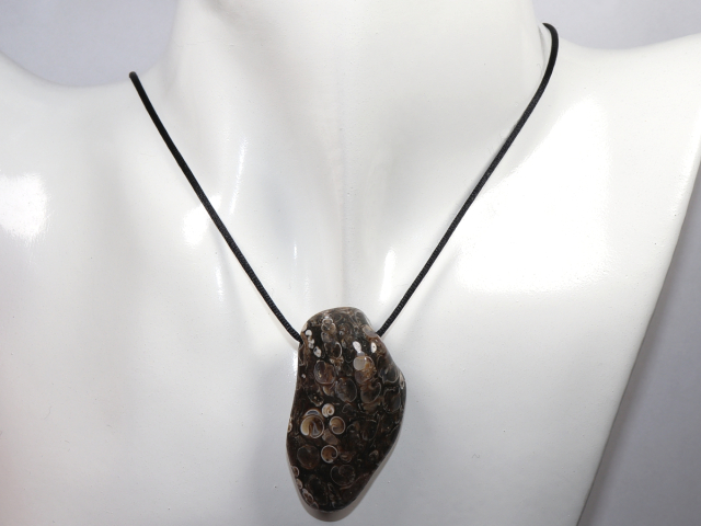 Preview: Turritella agate with cord or silver 925