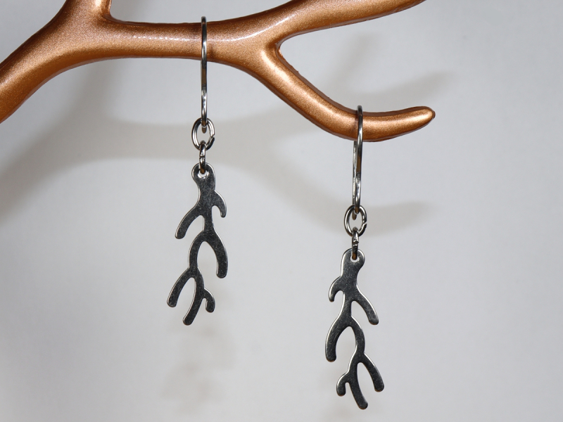 stainless steel earrings