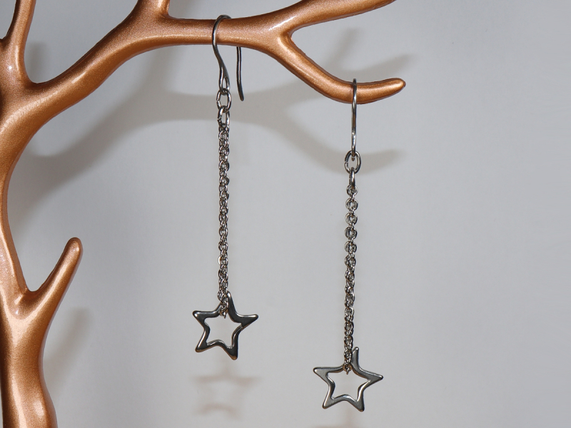 stainless steel earrings
