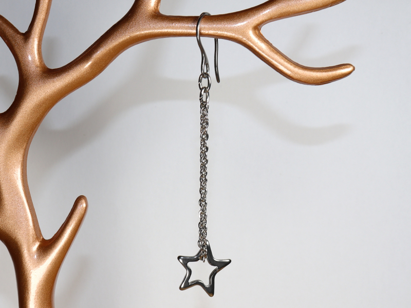 stainless steel earrings