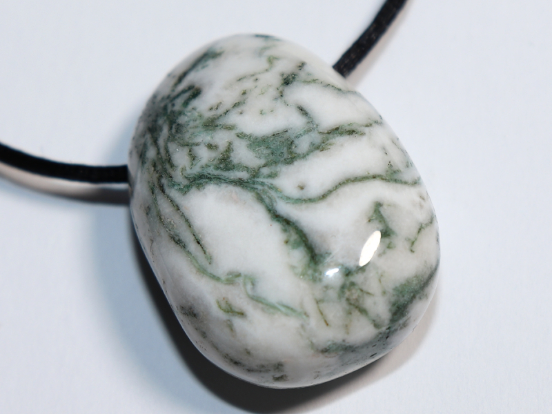 tree agate with cord or silver 925