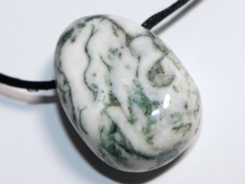 tree agate with cord or silver 925