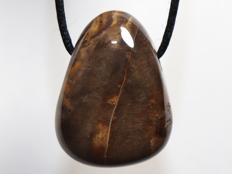 versteinertes Holz mit Band oder Silber 925