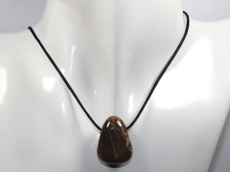 versteinertes Holz mit Band oder Silber 925