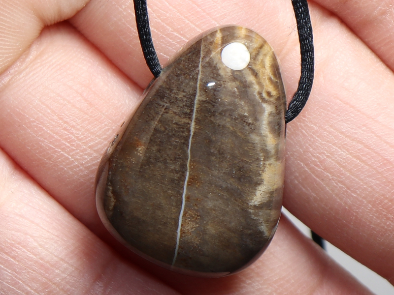 versteinertes Holz mit Band oder Silber 925