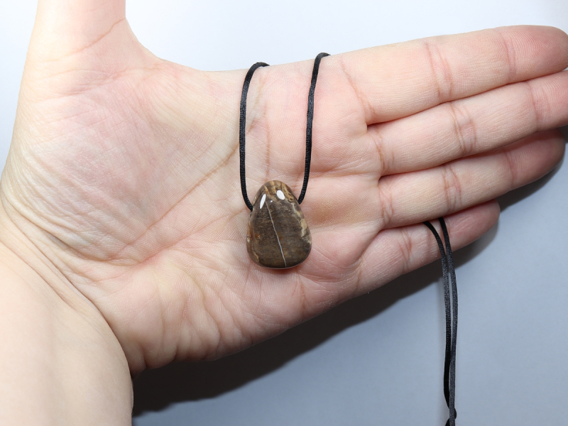 versteinertes Holz mit Band oder Silber 925