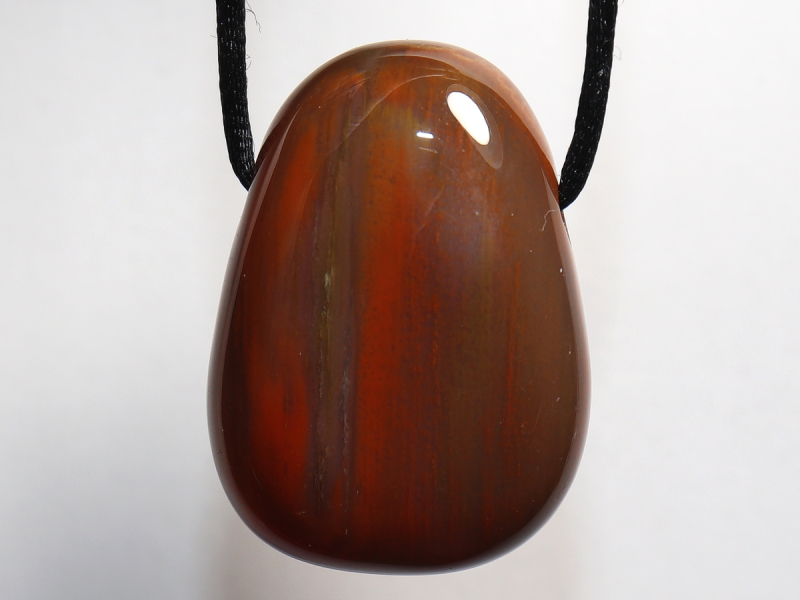 versteinertes Holz mit Band oder Silber 925