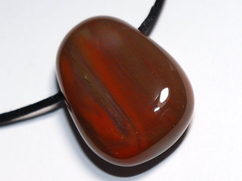 versteinertes Holz mit Band oder Silber 925