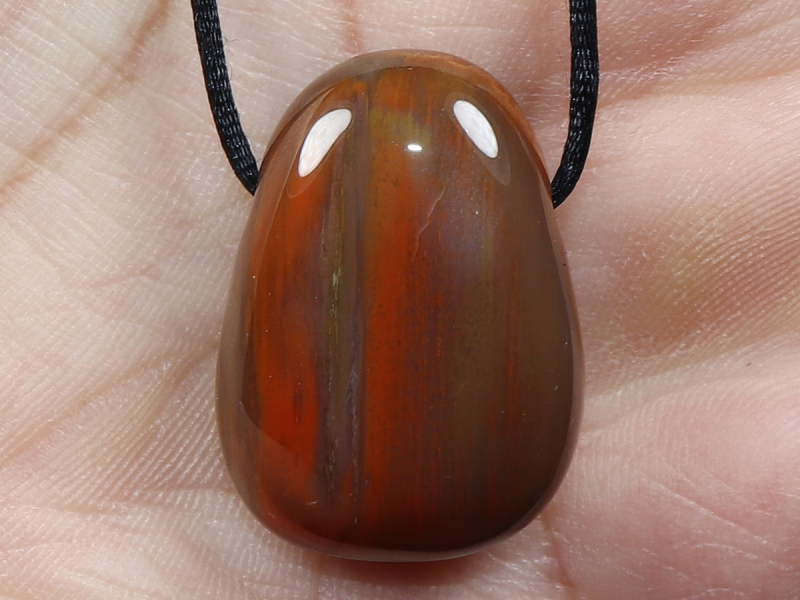 versteinertes Holz mit Band oder Silber 925