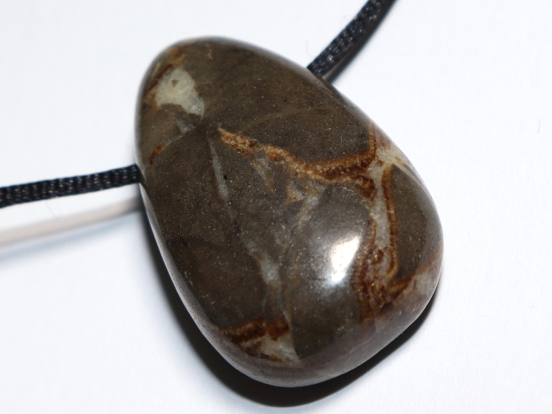 septaria with cord or silver 925