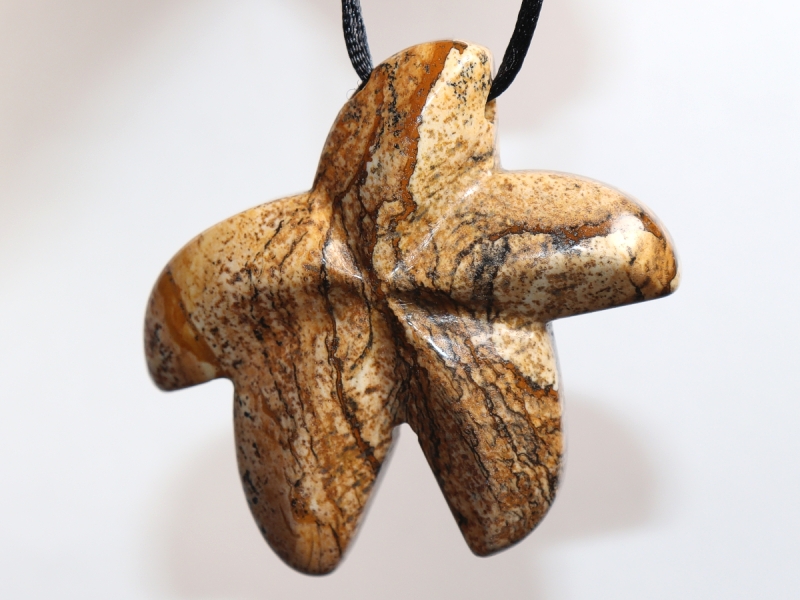 picture jasper with cord or silver 925