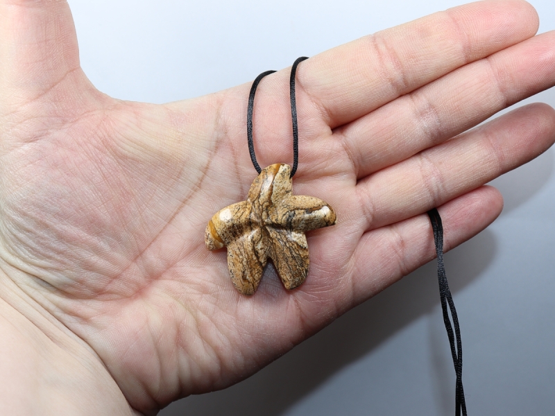 picture jasper with cord or silver 925