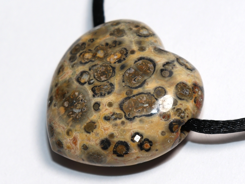 leopard rhyolite with cord or silver 925