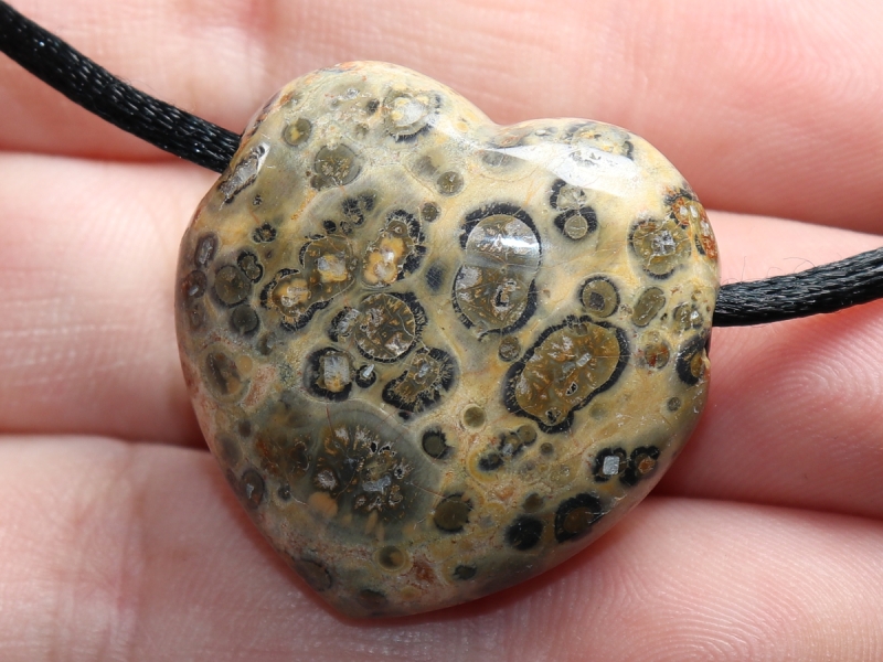 leopard rhyolite with cord or silver 925