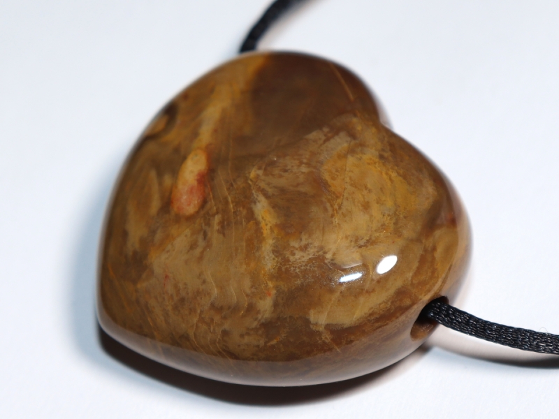 petrified wood with cord or silver 925