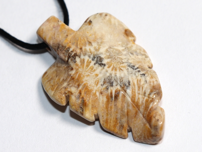 fossilized coral with cord or silver 925