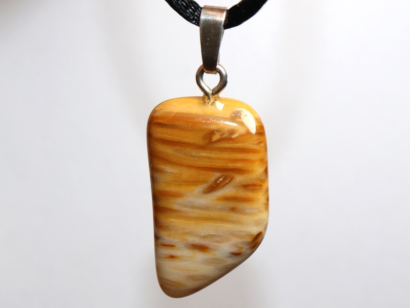 petrified palm wood with cord or silver 925