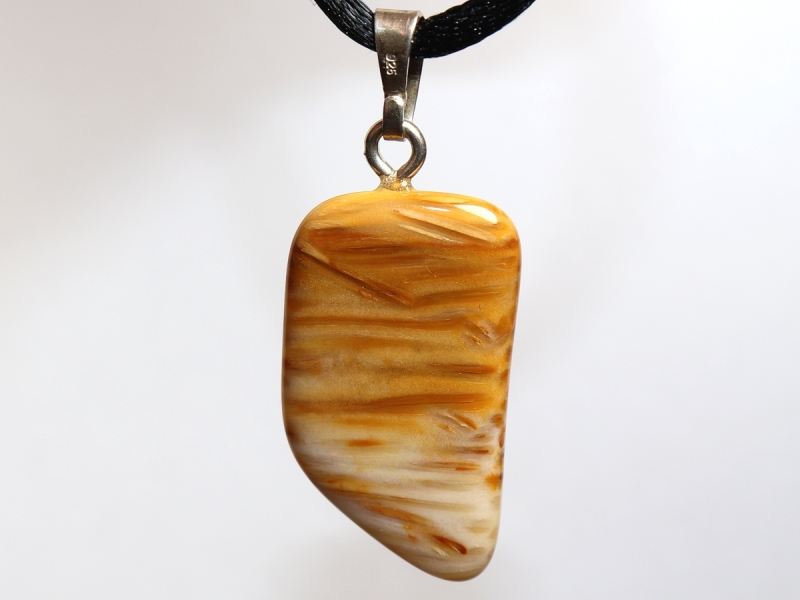 petrified palm wood with cord or silver 925